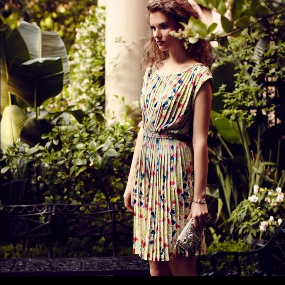 Anthropologie Baraschi pleated meadowlight dress M